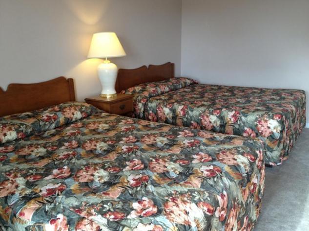 Lotus Motel Cobourg Zewnętrze zdjęcie