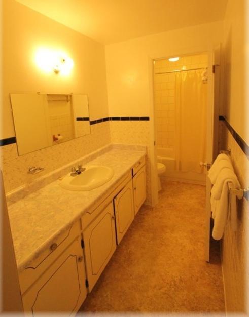 Lotus Motel Cobourg Pokój zdjęcie